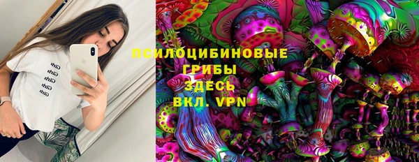 2c-b Алзамай