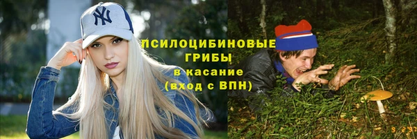 2c-b Алзамай