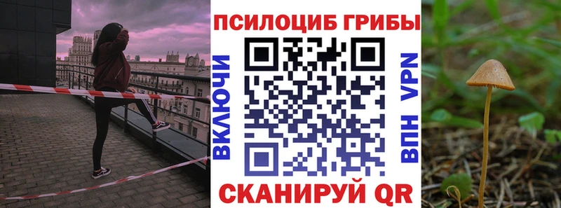 Псилоцибиновые грибы прущие грибы shop наркотические препараты Коломна