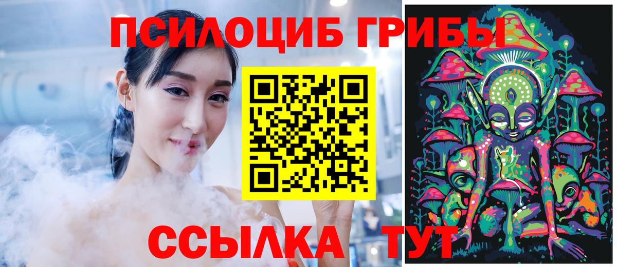 Коломна  Псилоцибиновые грибы MAGIC MUSHROOMS  Вход с VPN  закладки  Псилоцибиновые грибы Cubensis 