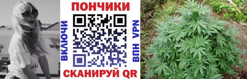 hydra вход  Коломна  МАРИХУАНА планчик  хочу наркоту 